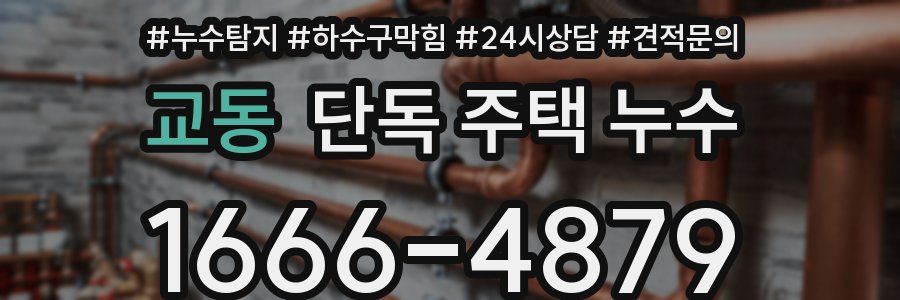 교동 단독 주택 누수