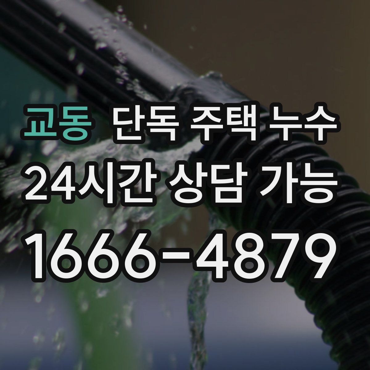 교동 단독 주택 누수