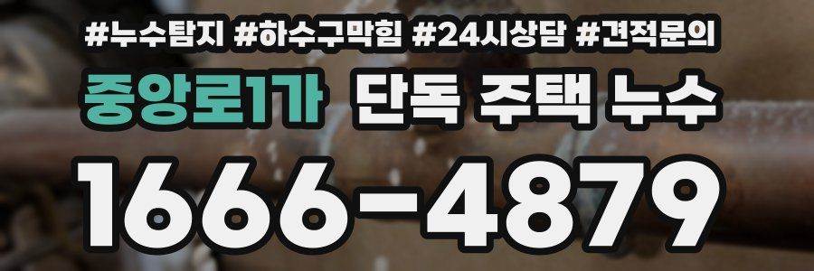 중앙로1가 단독 주택 누수