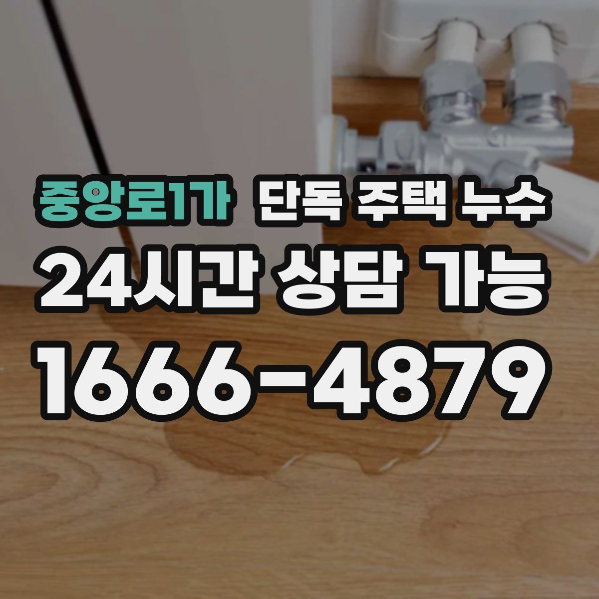 중앙로1가 단독 주택 누수