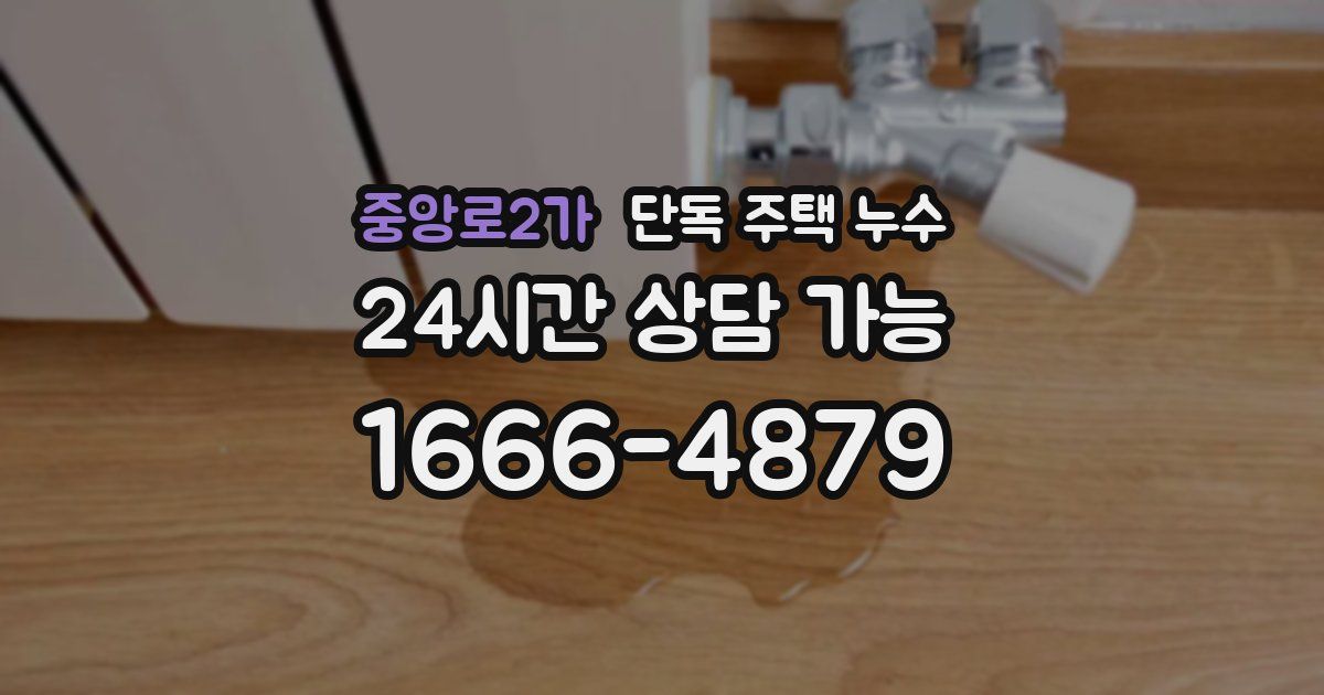 중앙로2가 단독 주택 누수