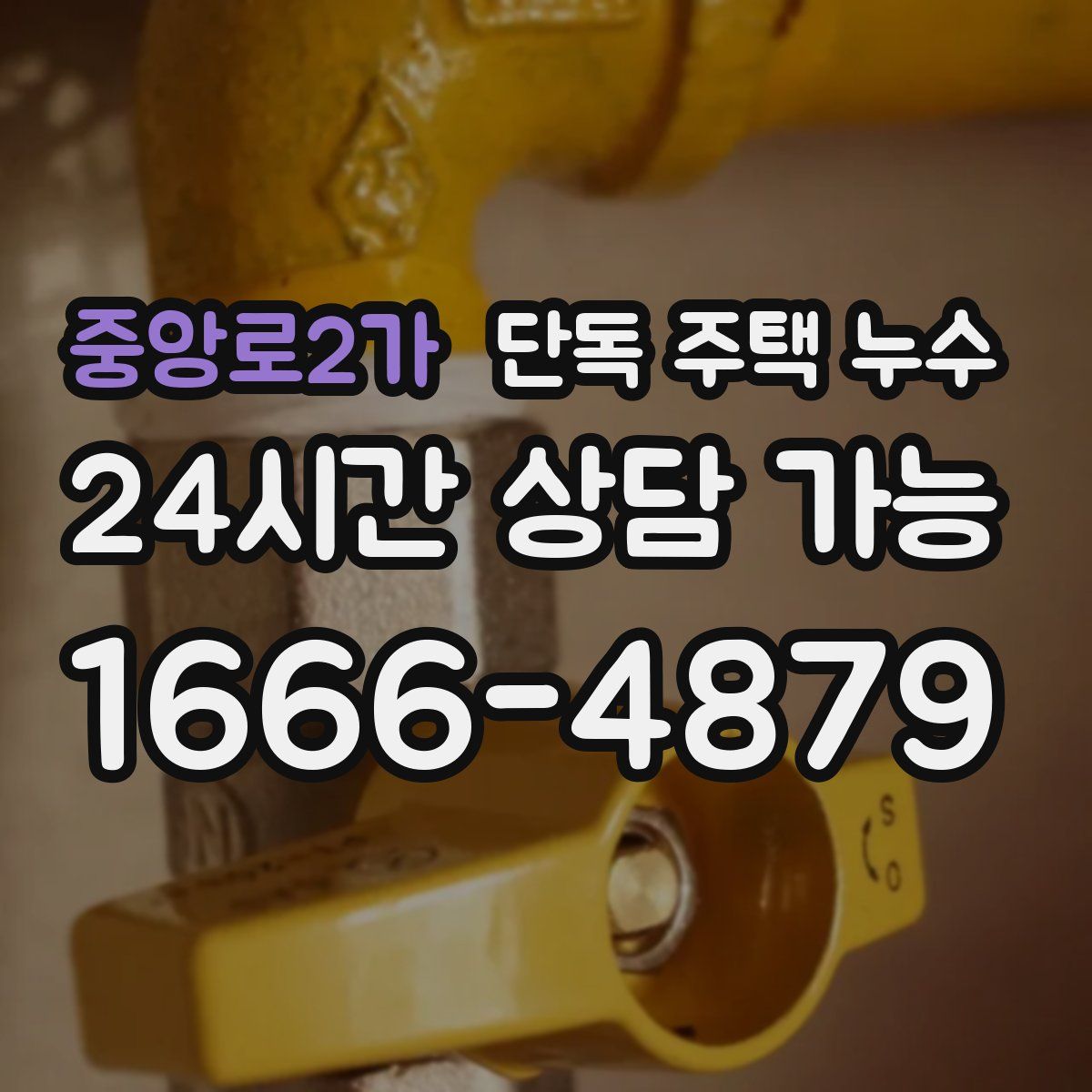 중앙로2가 단독 주택 누수