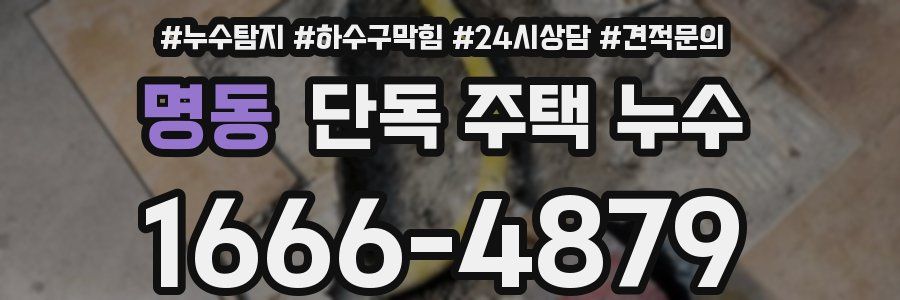 명동 단독 주택 누수