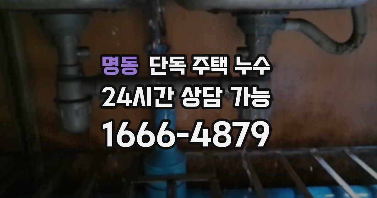 명동 단독 주택 누수