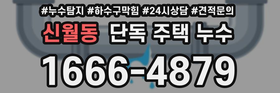 신월동 단독 주택 누수