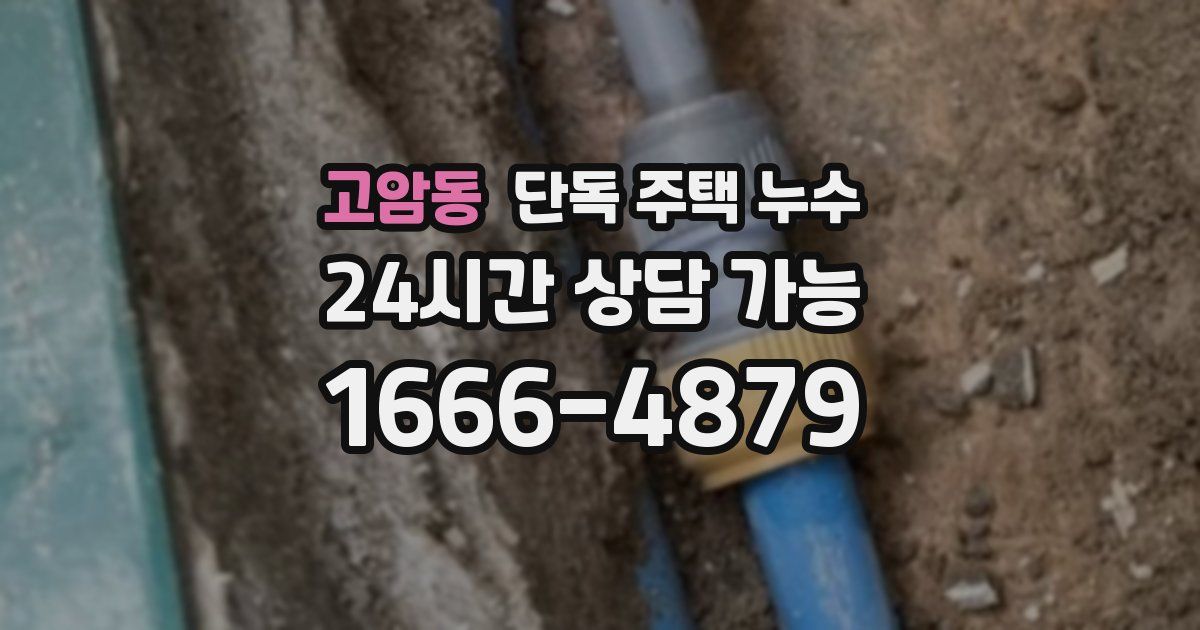 고암동 단독 주택 누수