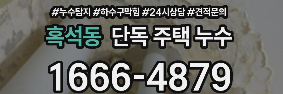 흑석동 단독 주택 누수