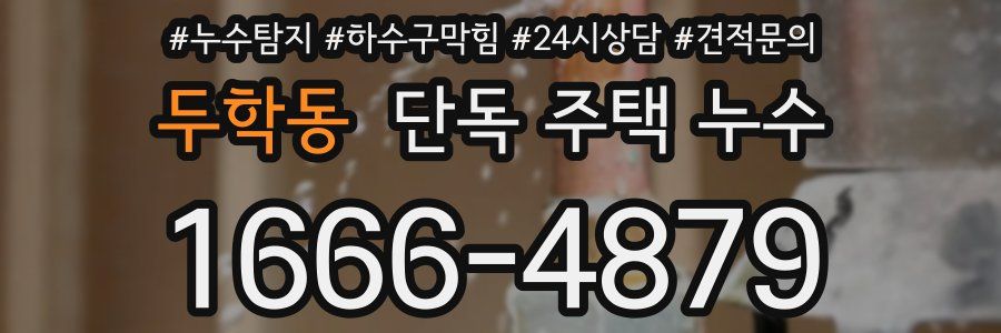 두학동 단독 주택 누수