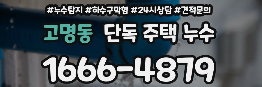 고명동 단독 주택 누수