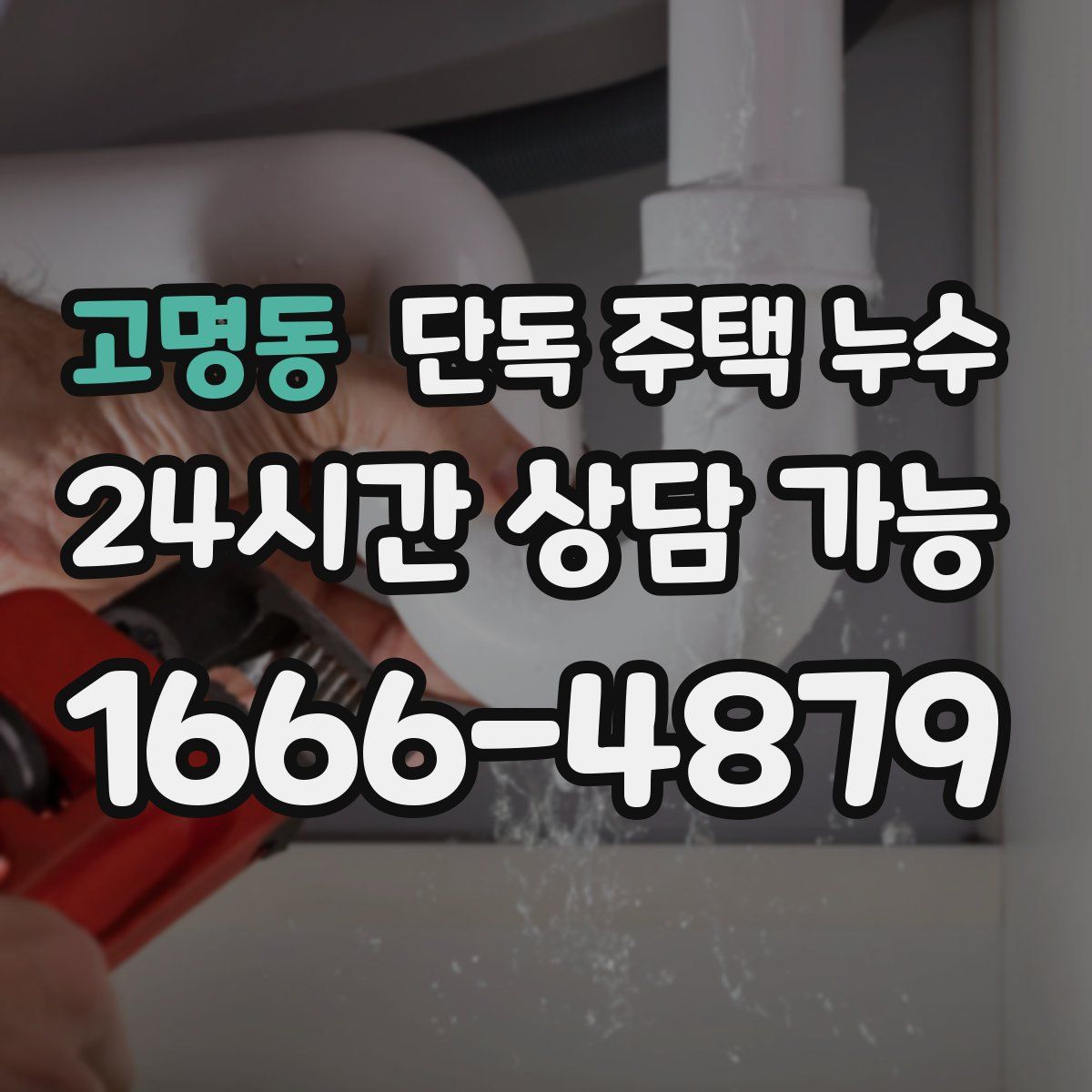 고명동 단독 주택 누수