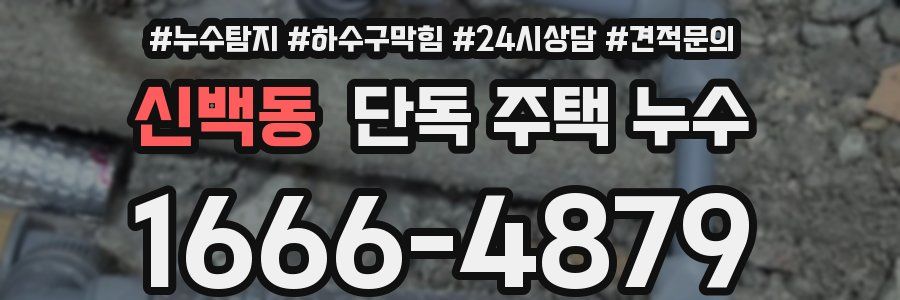 신백동 단독 주택 누수
