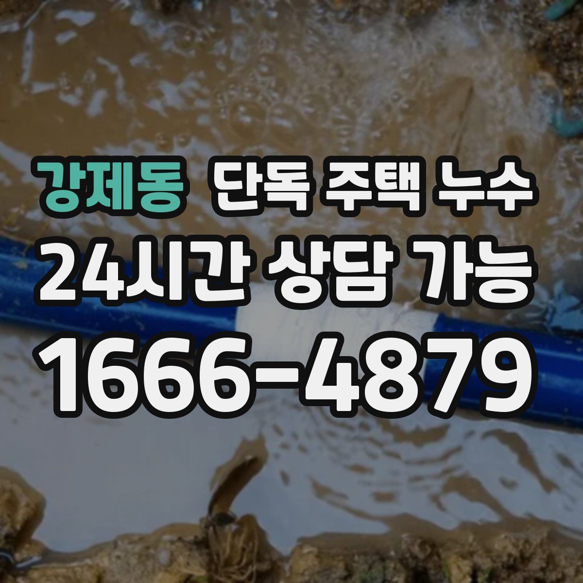 강제동 단독 주택 누수