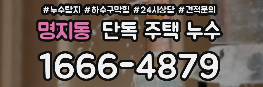 명지동 단독 주택 누수