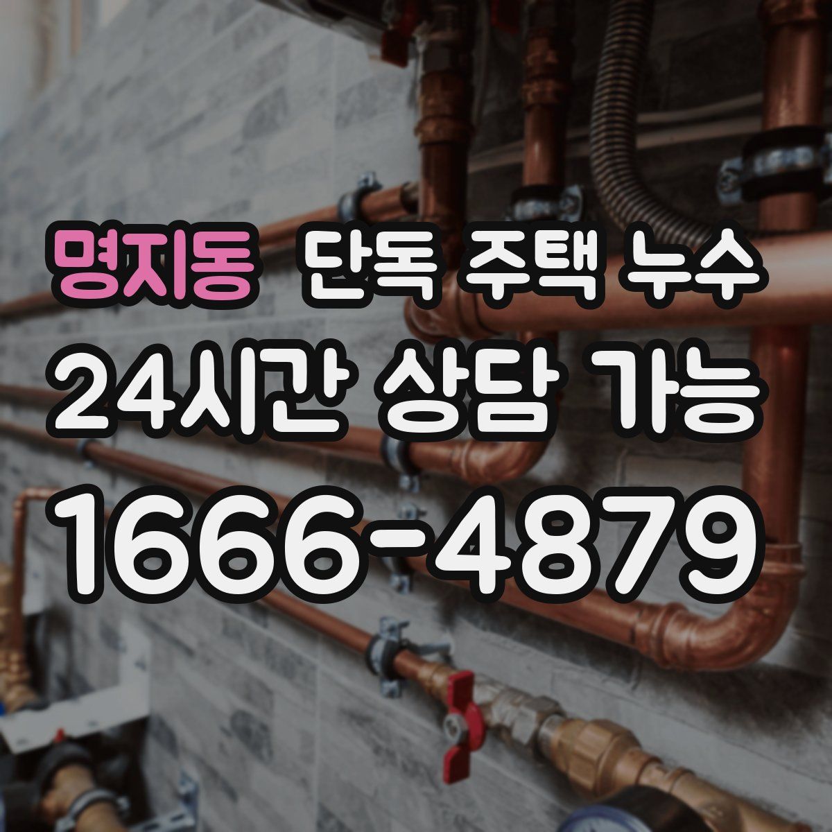 명지동 단독 주택 누수