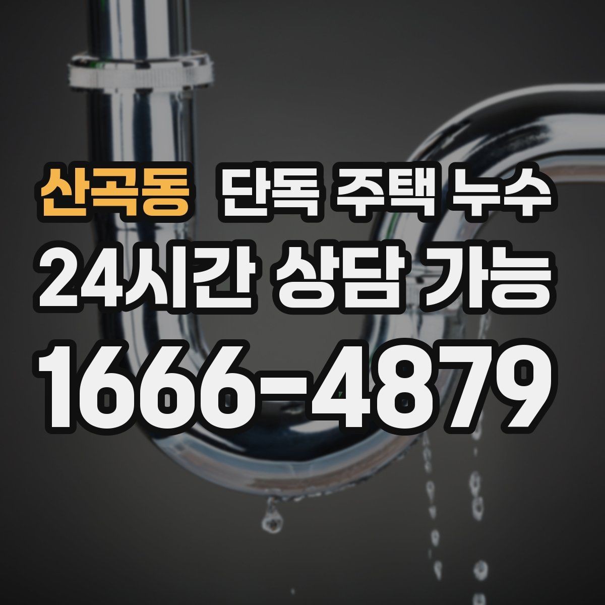산곡동 단독 주택 누수 마당 물 고임이 벽체로 스며드는 이유