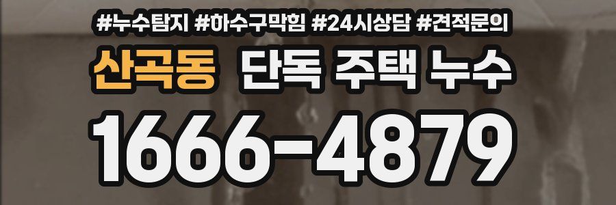 산곡동 단독 주택 누수