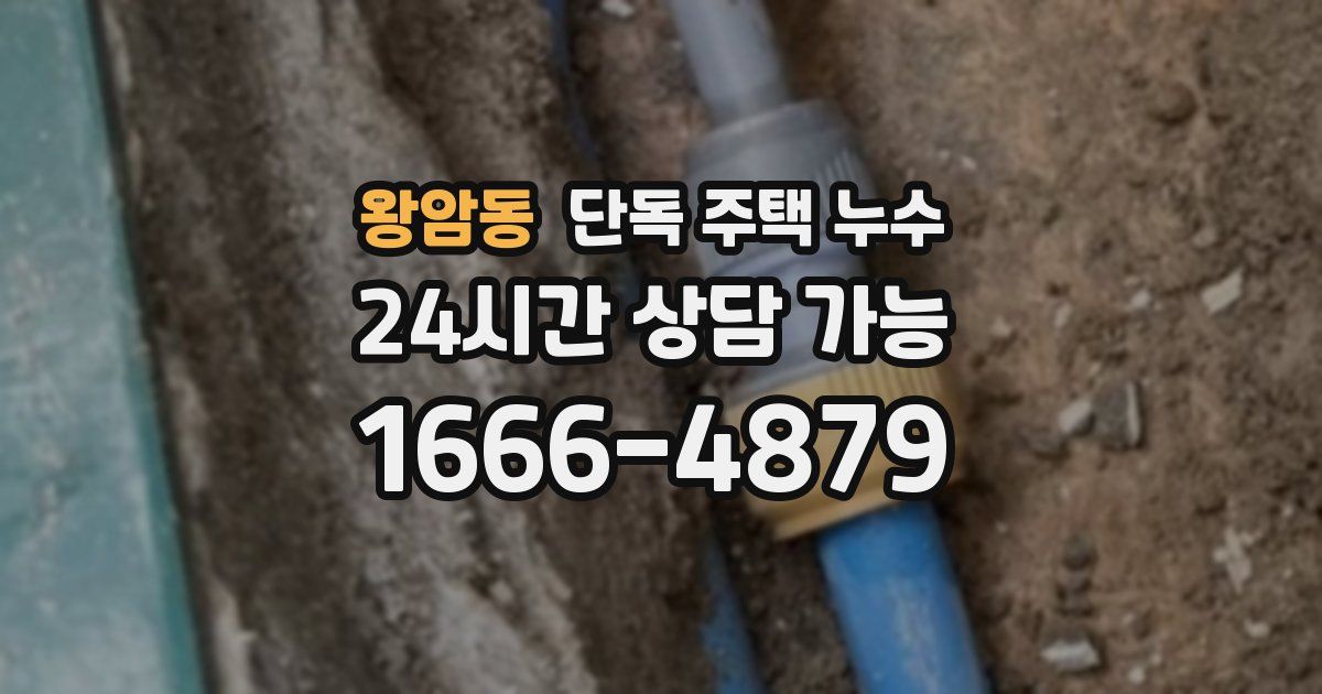 왕암동 단독 주택 누수