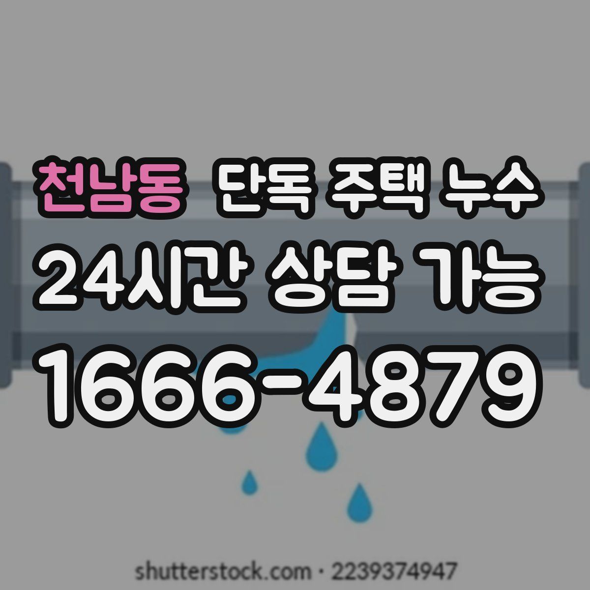 천남동 단독 주택 누수