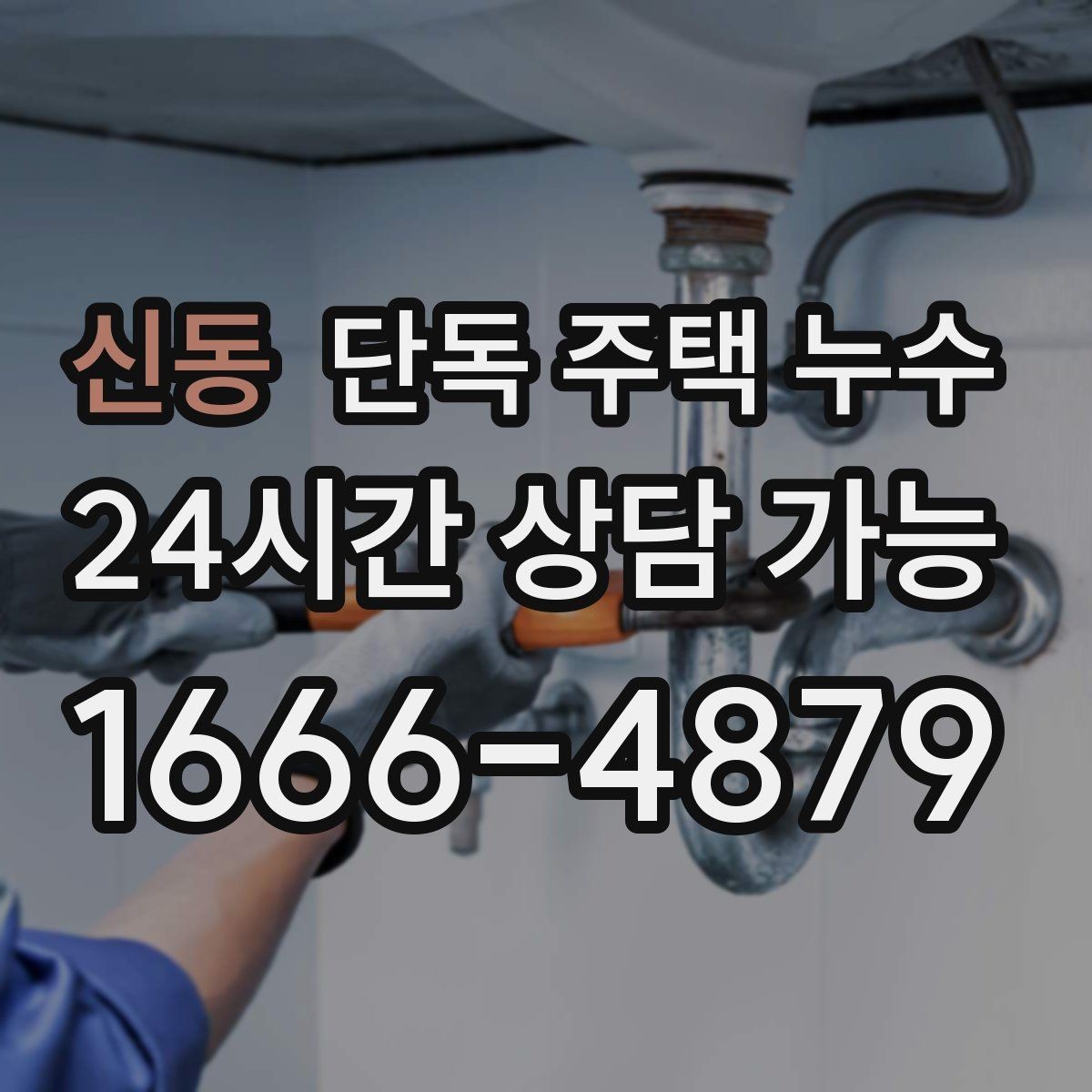 신동 단독 주택 누수 지붕 판넬·기와 틈새 점검 포인트
