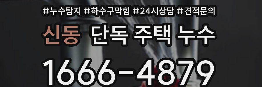 신동 단독 주택 누수