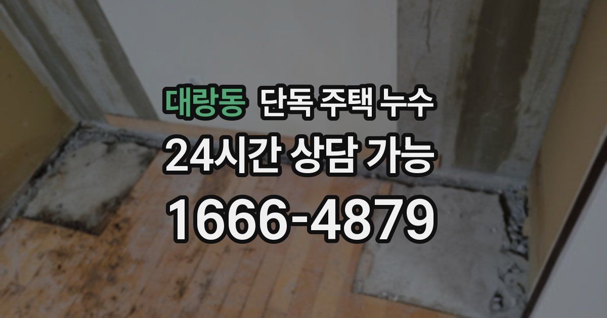 대랑동 단독 주택 누수