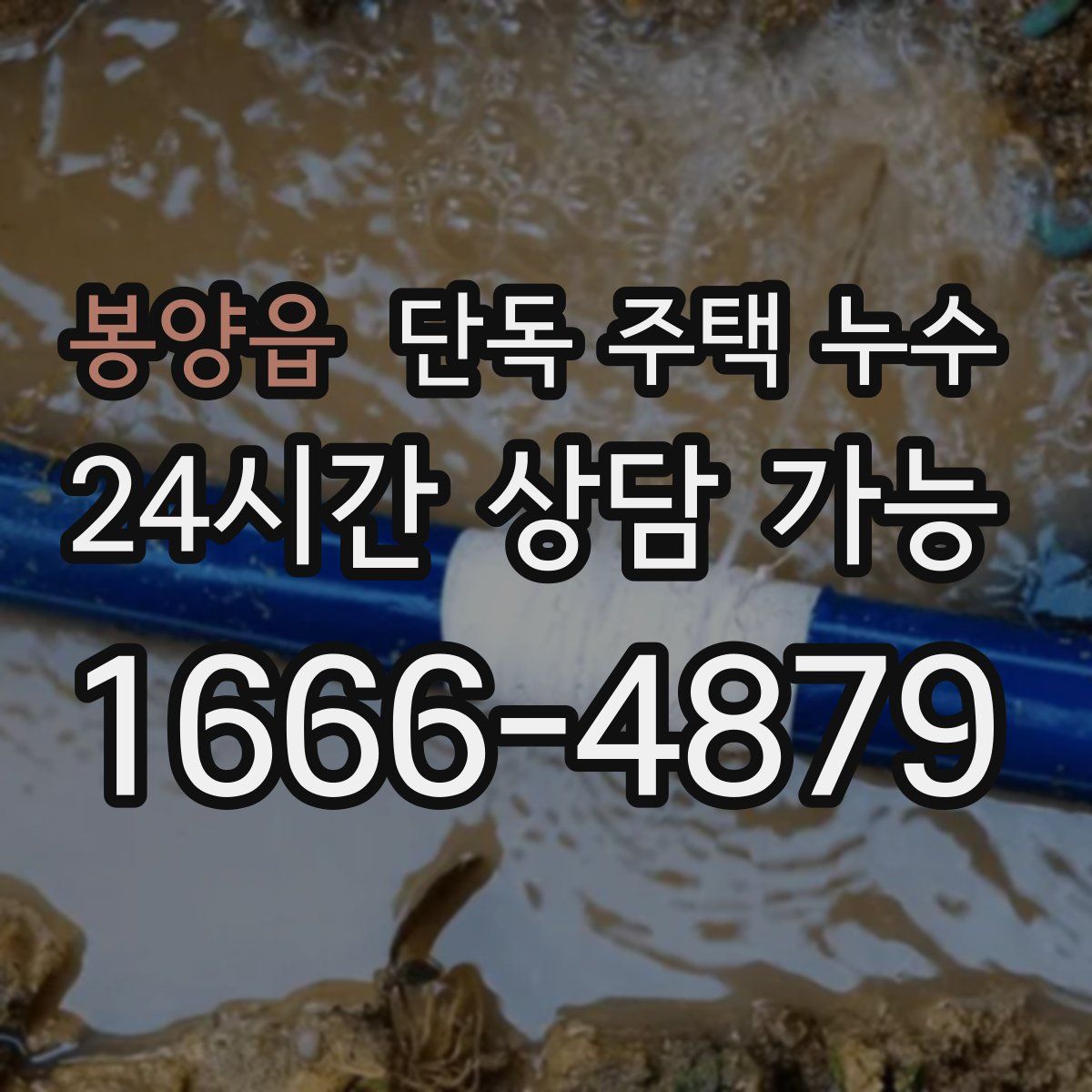 봉양읍 단독 주택 누수