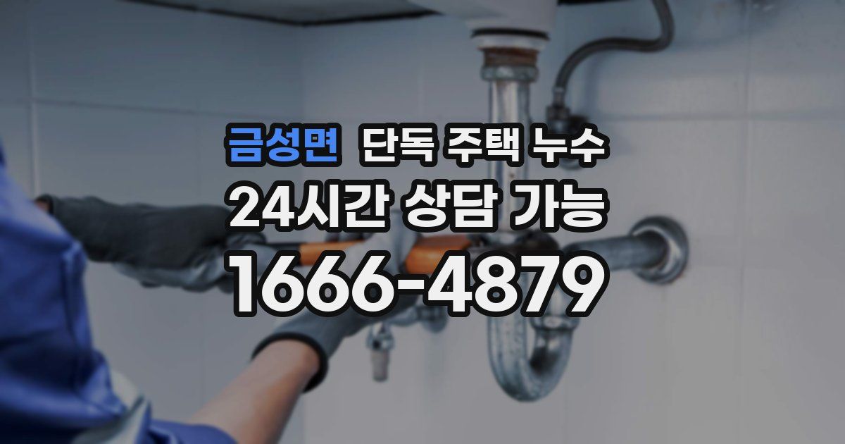 금성면 단독 주택 누수