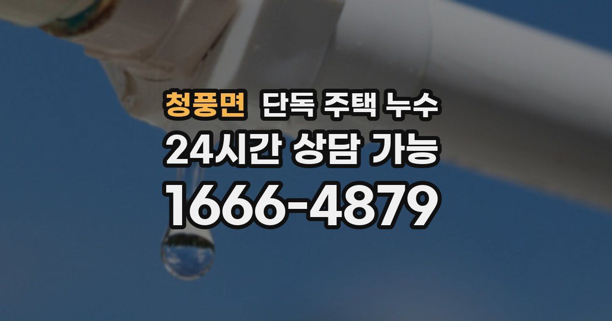 청풍면 단독 주택 누수