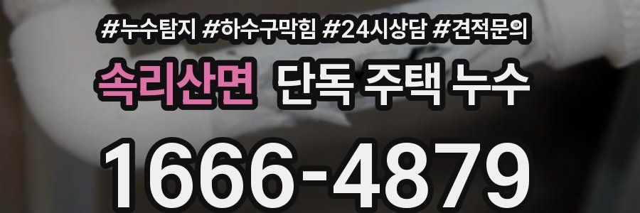 속리산면 단독 주택 누수