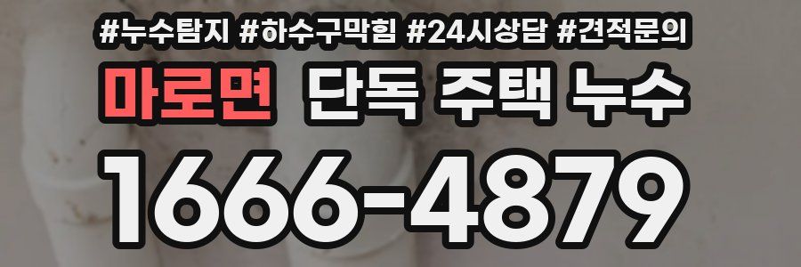 마로면 단독 주택 누수