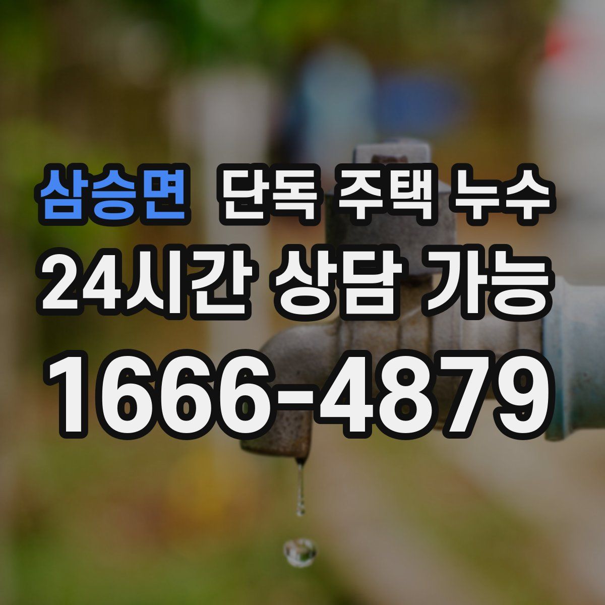 삼승면 단독 주택 누수