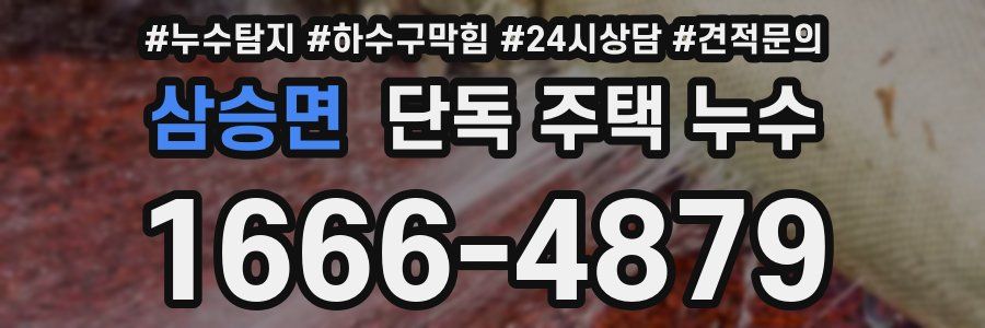 삼승면 단독 주택 누수