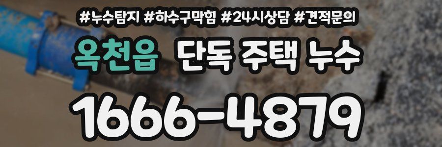 옥천읍 단독 주택 누수