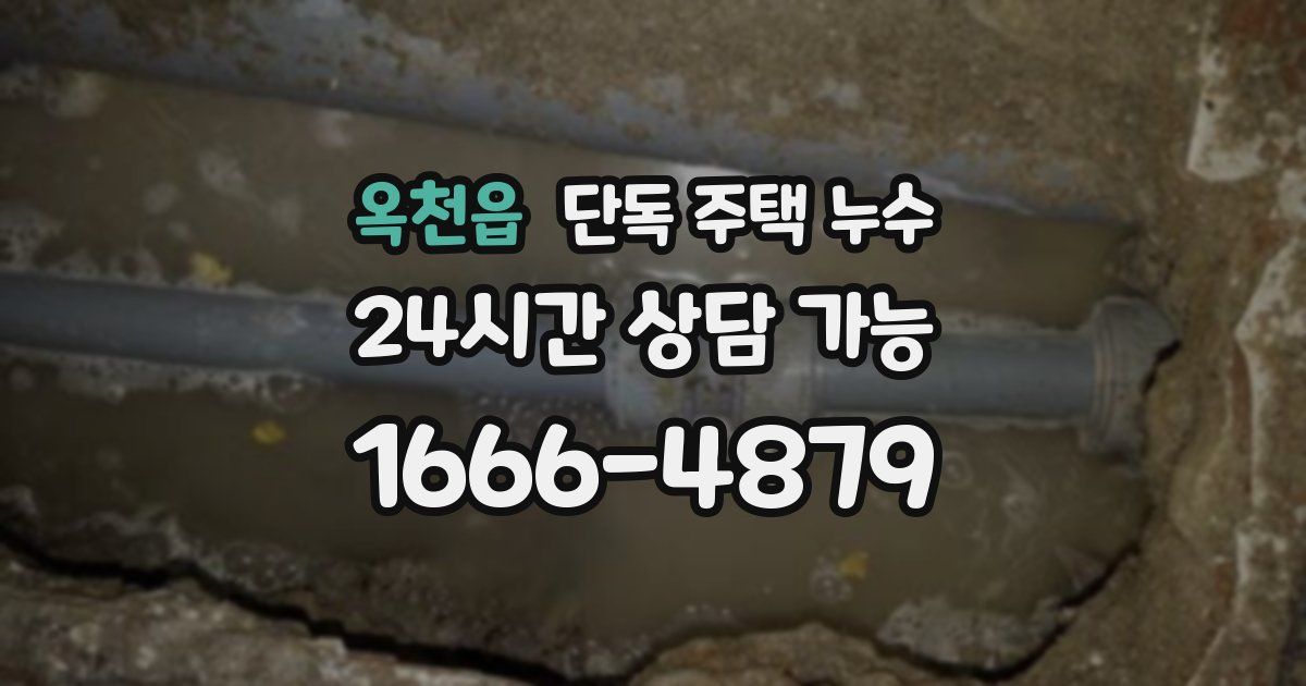 옥천읍 단독 주택 누수