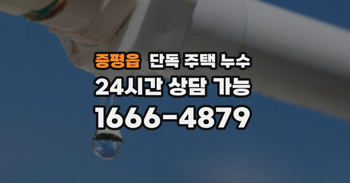 증평읍 단독 주택 누수