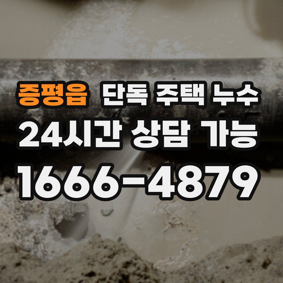 증평읍 단독 주택 누수