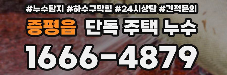 증평읍 단독 주택 누수