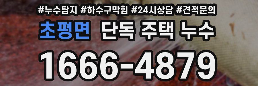 초평면 단독 주택 누수