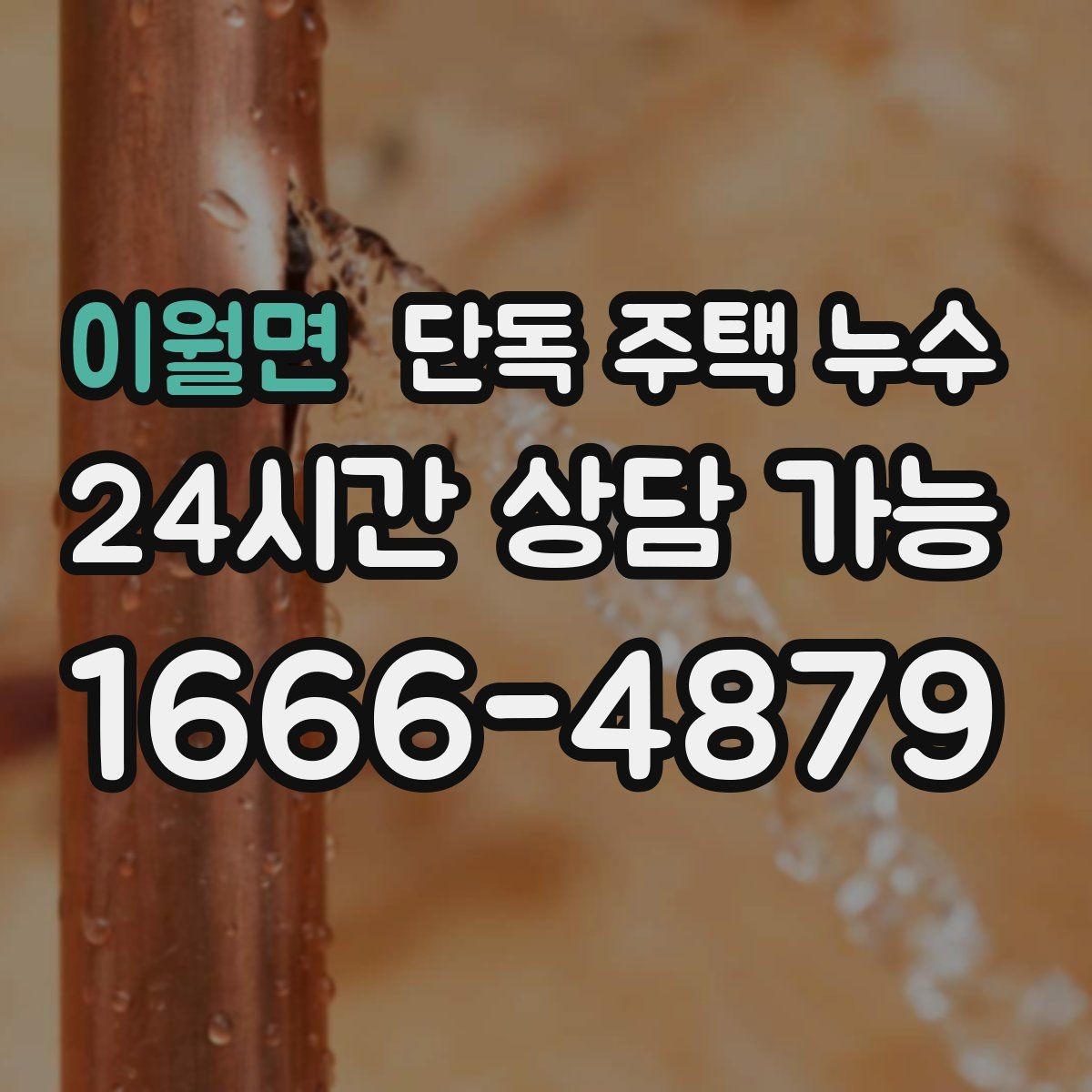 이월면 단독 주택 누수 처마 끝에서 물이 타고 들어올 때