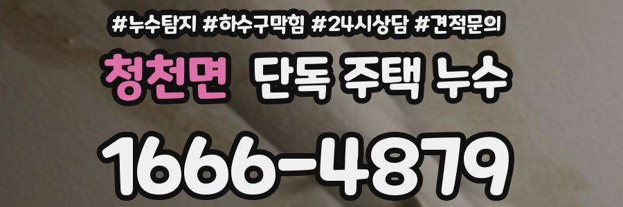 청천면 단독 주택 누수