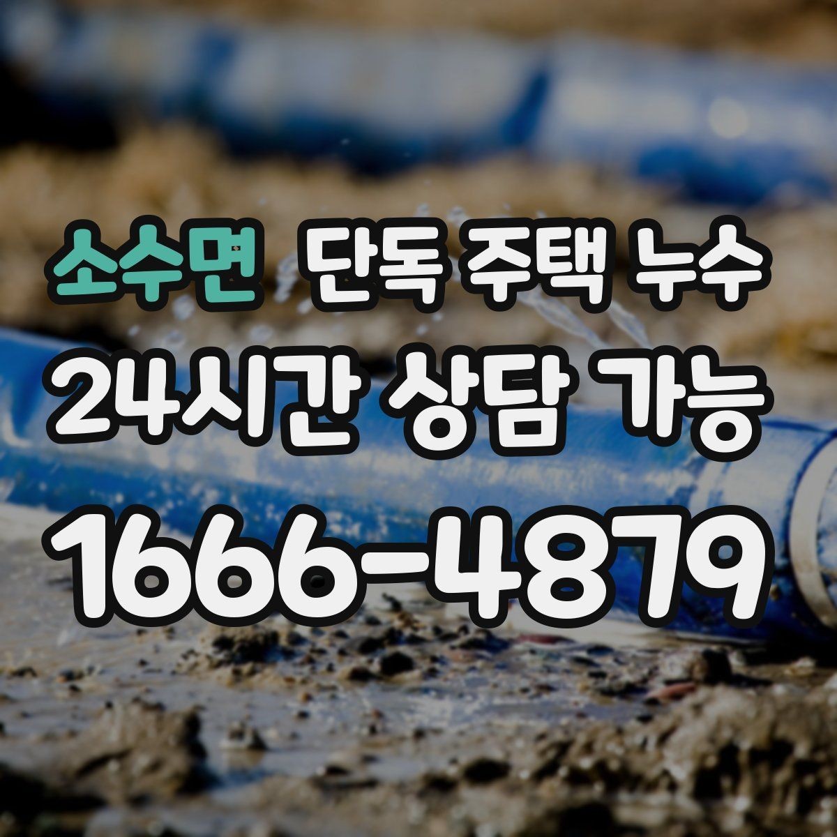 소수면 단독 주택 누수 주방 쪽만 젖을 때 배관 가능성
