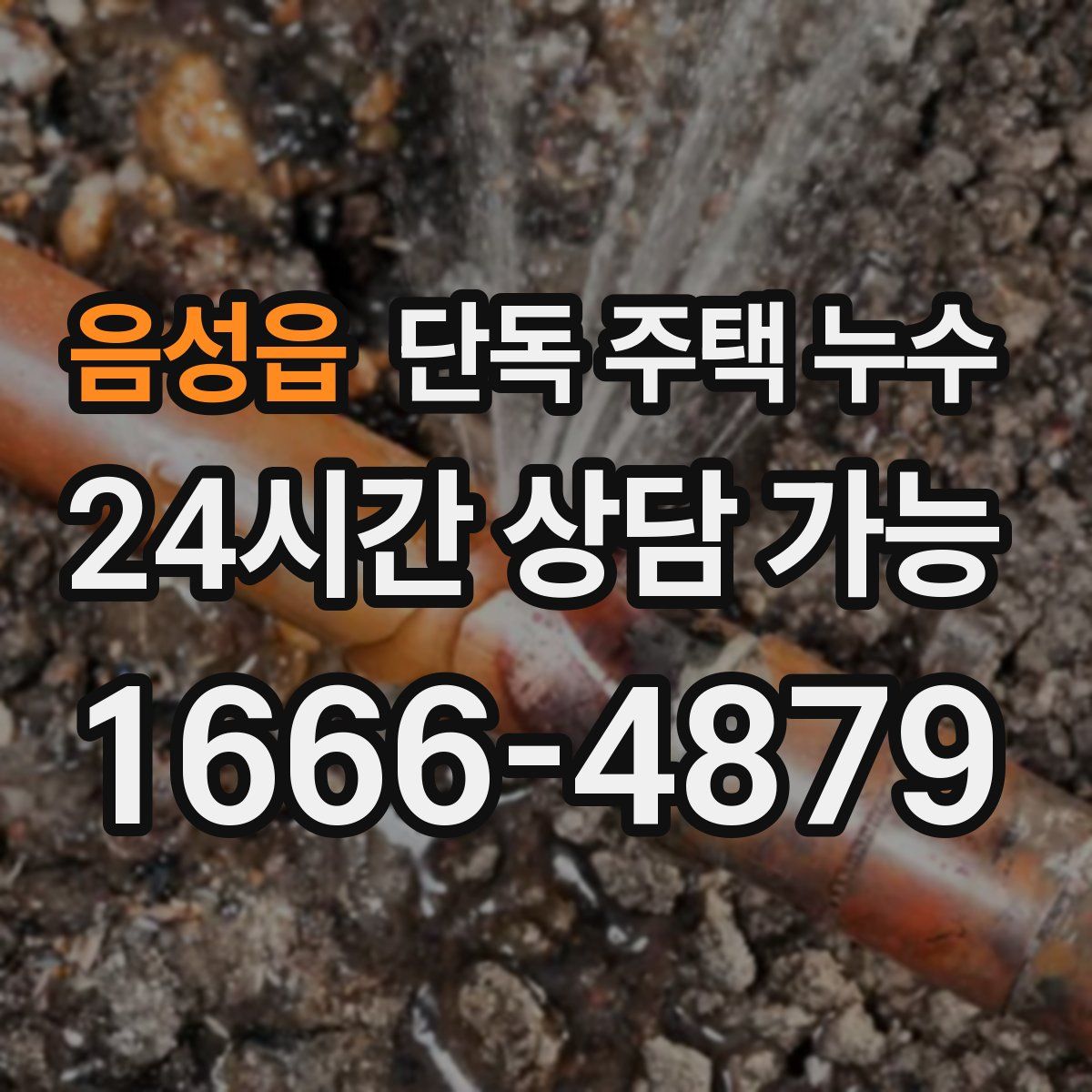 음성읍 단독 주택 누수