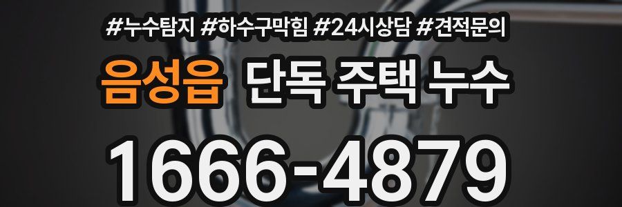 음성읍 단독 주택 누수
