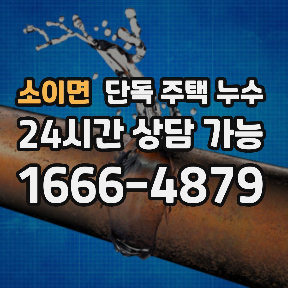 소이면 단독 주택 누수