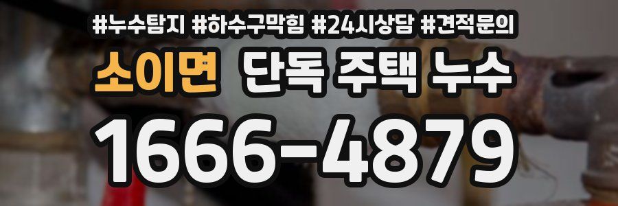 소이면 단독 주택 누수