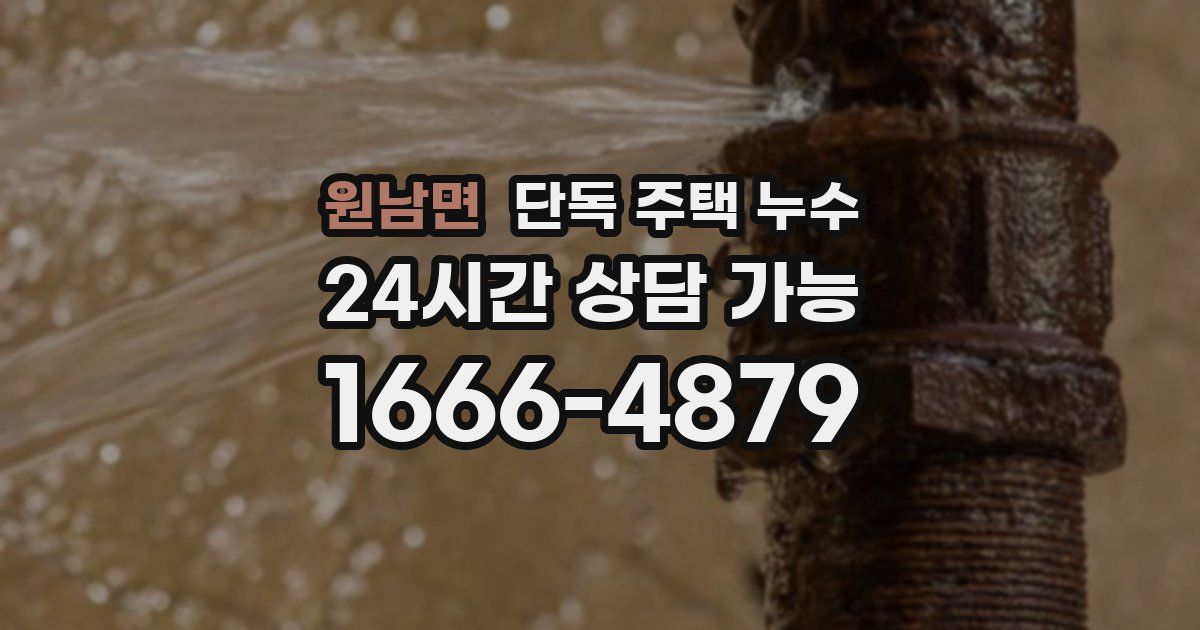 원남면 단독 주택 누수