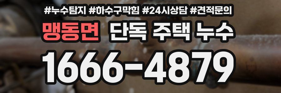 맹동면 단독 주택 누수