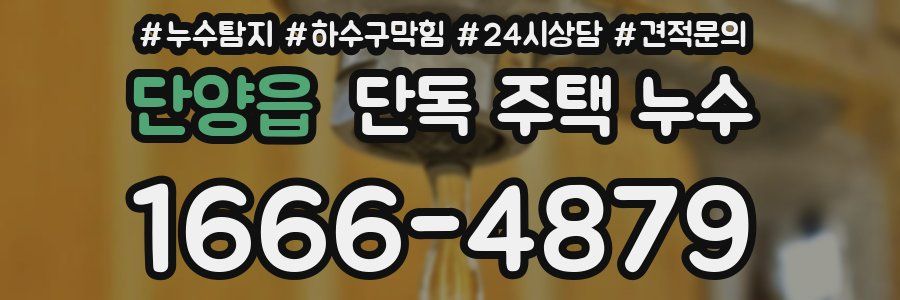 단양읍 단독 주택 누수