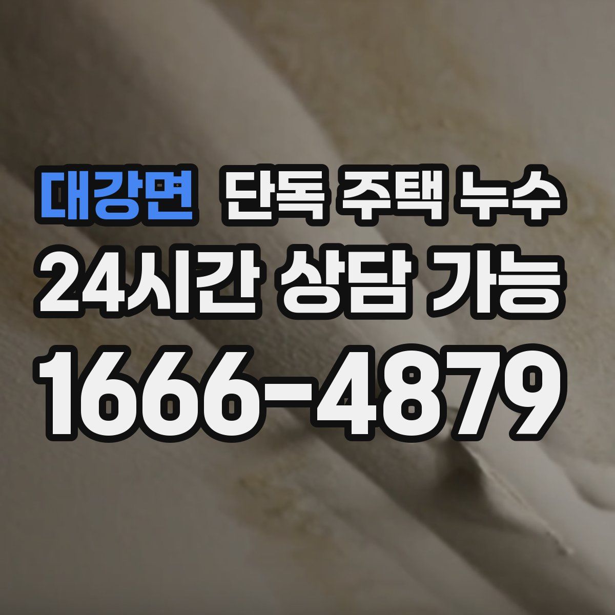 대강면 단독 주택 누수