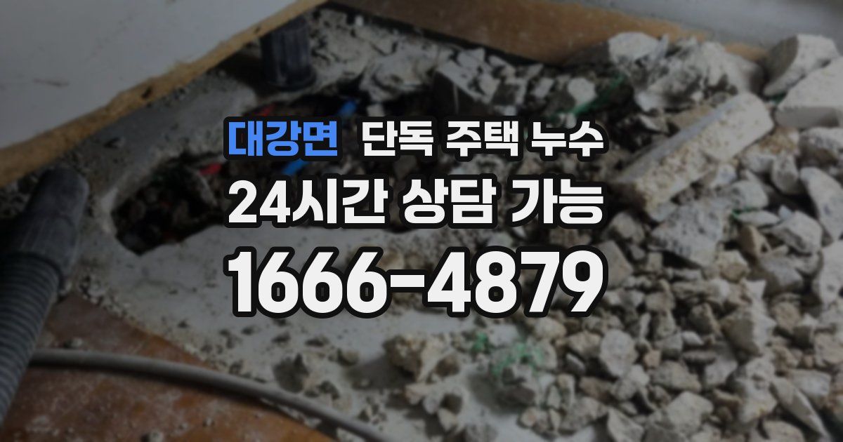 대강면 단독 주택 누수